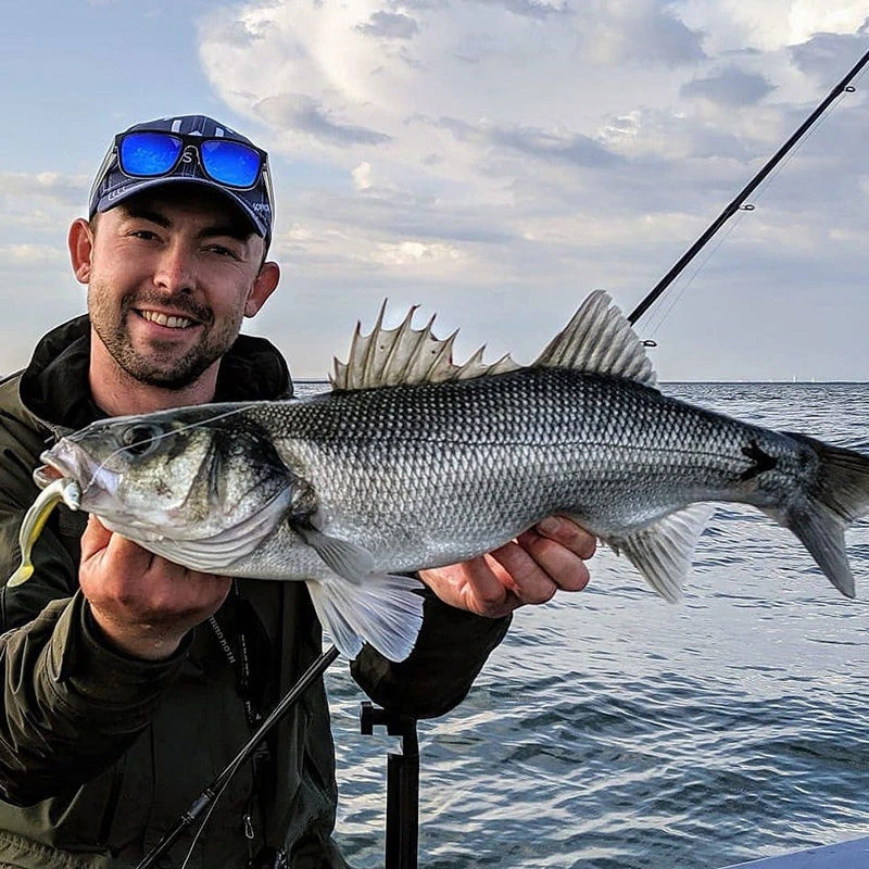 Westin Sandy Andy Weedless Jigs